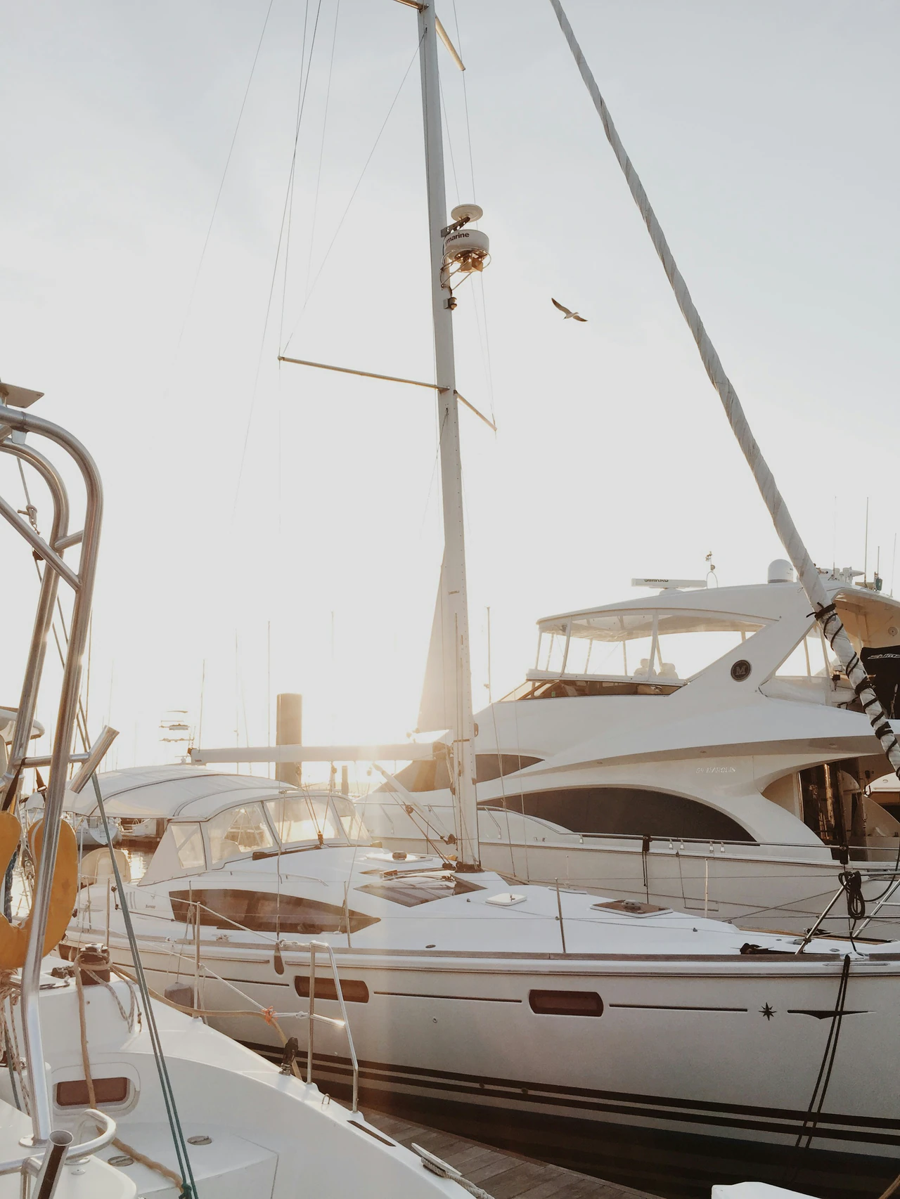 Motor yacht in a marina, shown as illustrative yachting context.